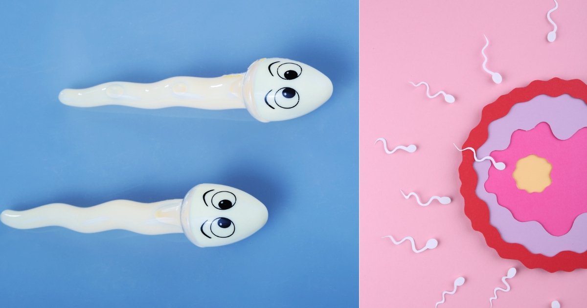 Read more about the article Can Thick Sperm Cause Pregnancy: Comprehensive Guide to Fertility